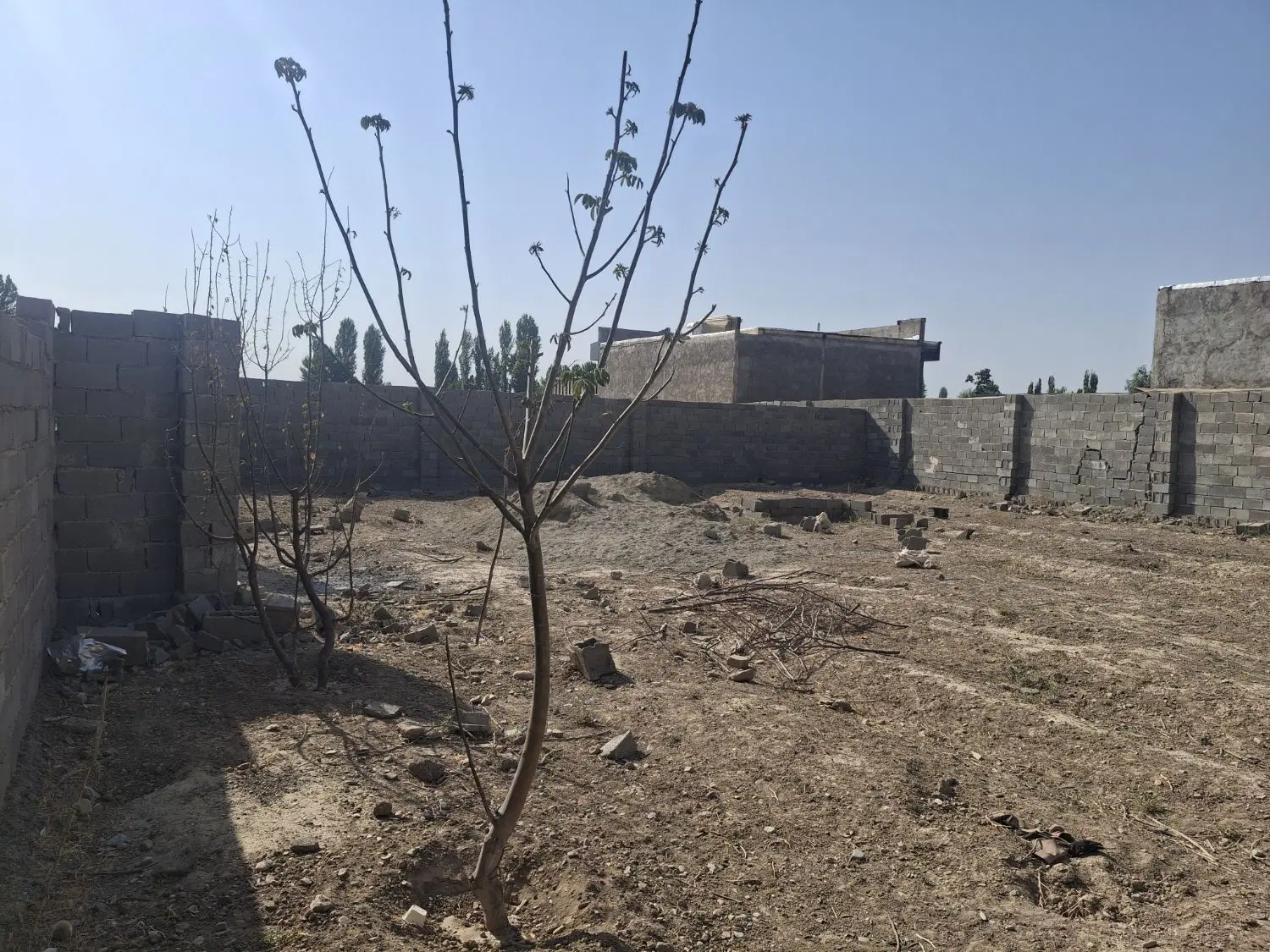 باغچه چهاردیواری