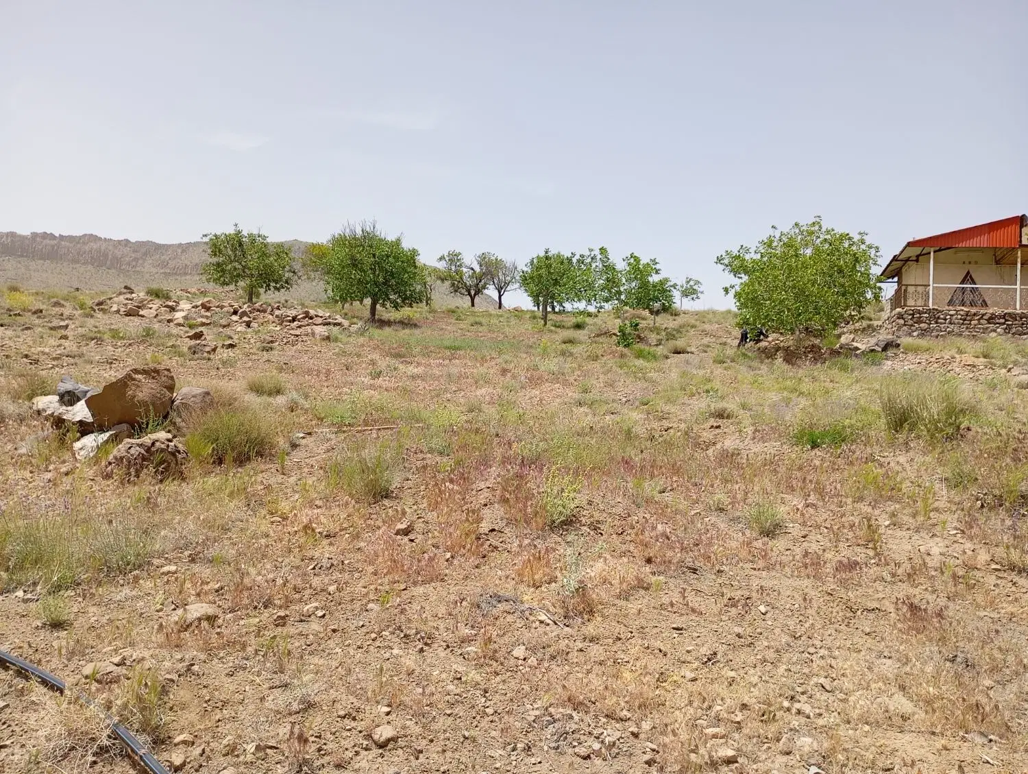 زمین فروشی در گوغر
