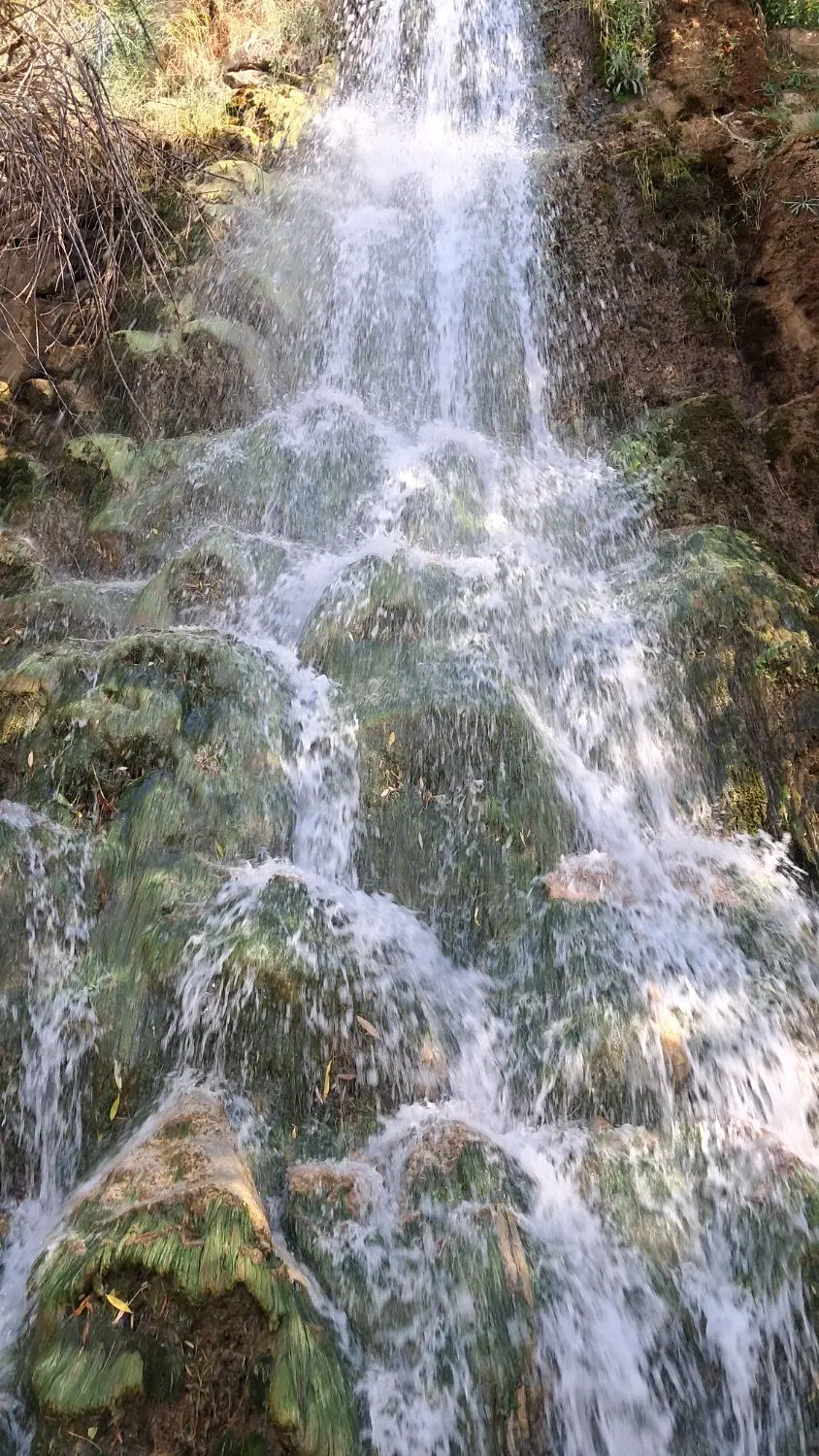 فروش باغستان ثامن- قطعه پشت ۴۵ منری