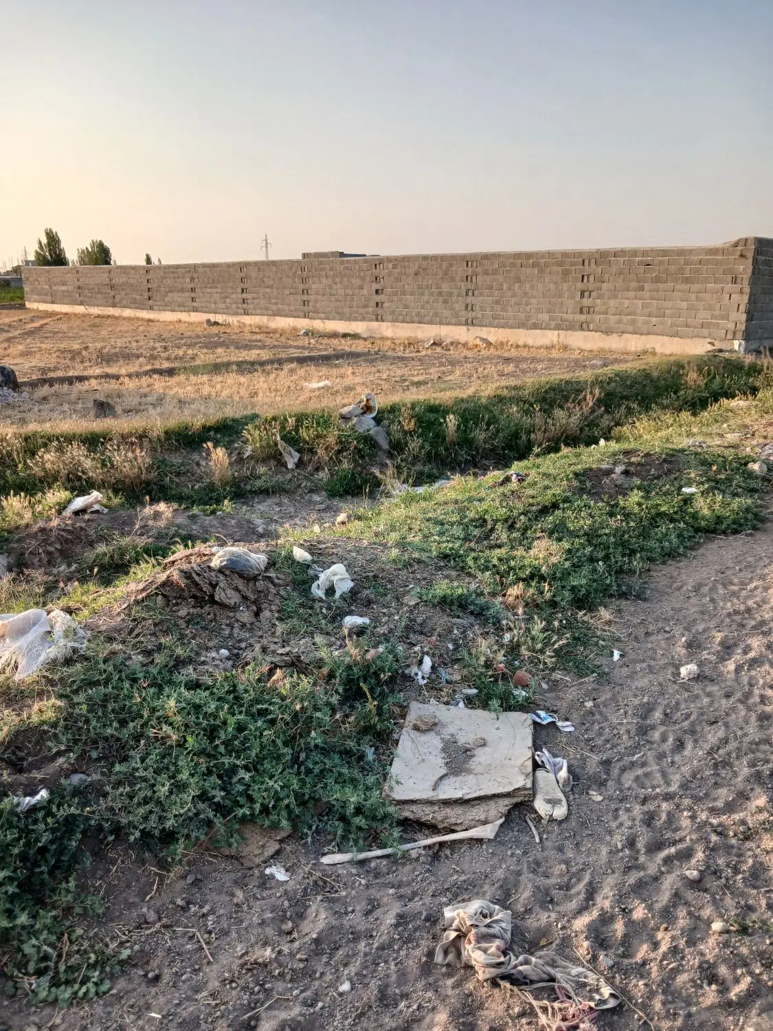 زمین مسکونی و باغی آراللو