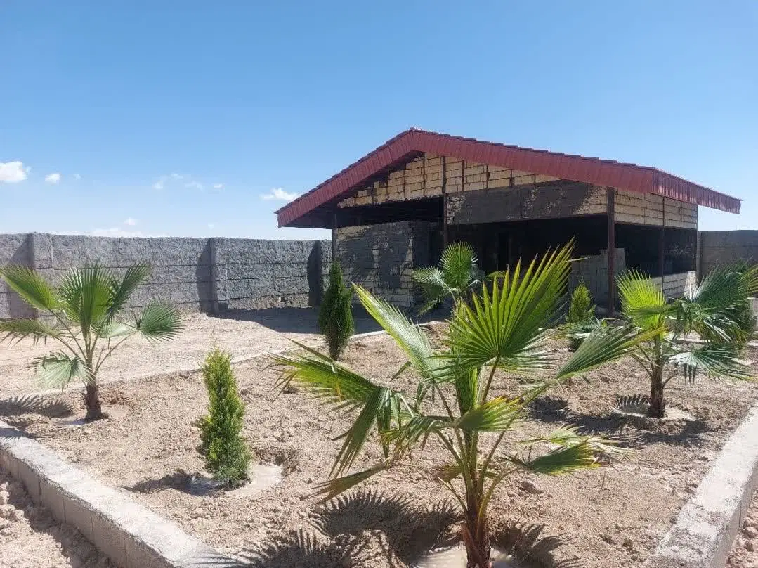 فرصت استثنایی