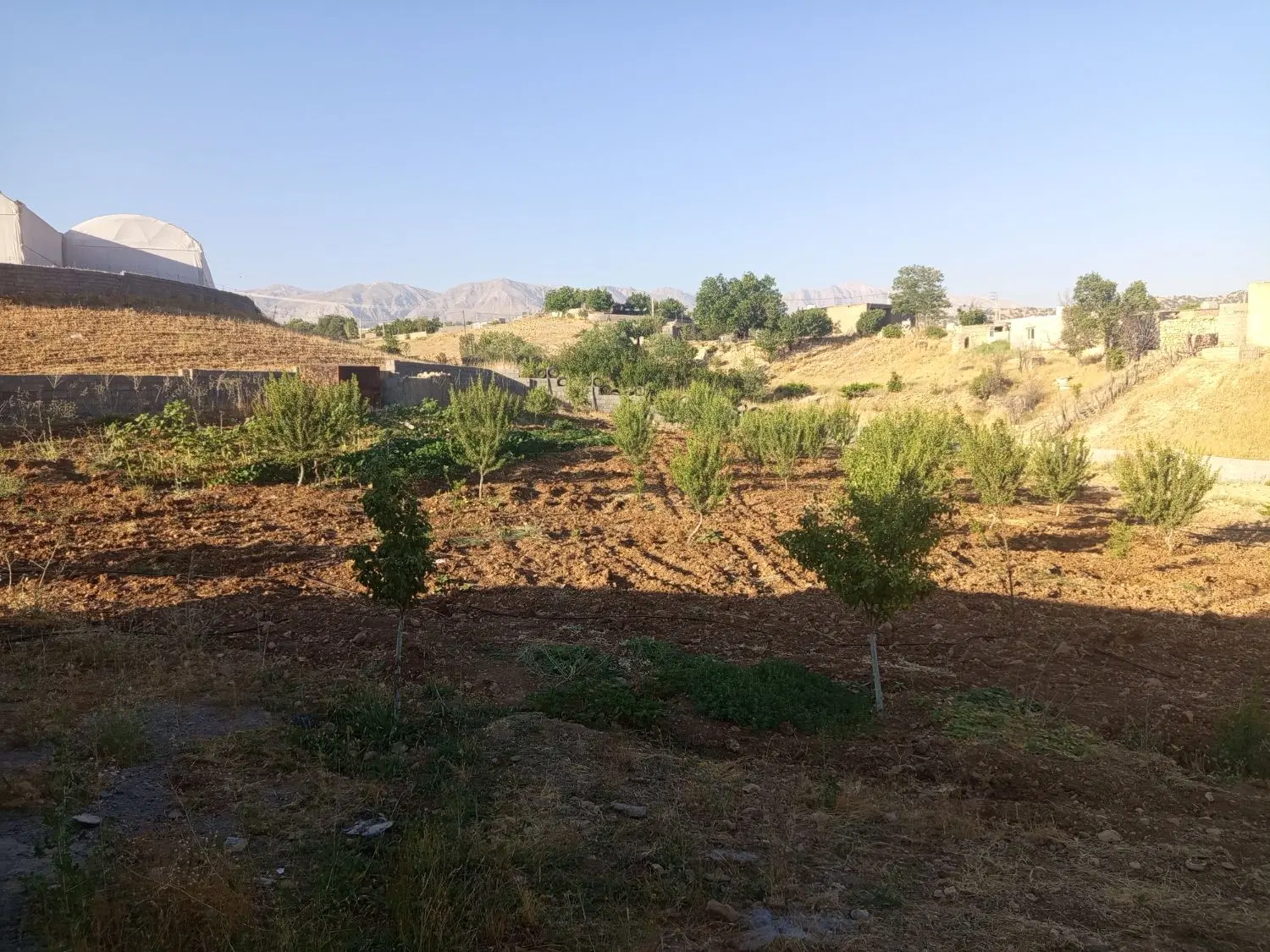 فروش باغ