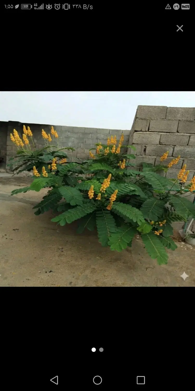 فروش زمین باغ ویلا