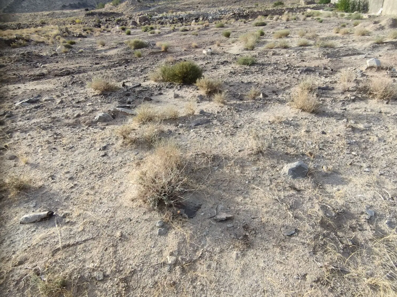 متر 1500