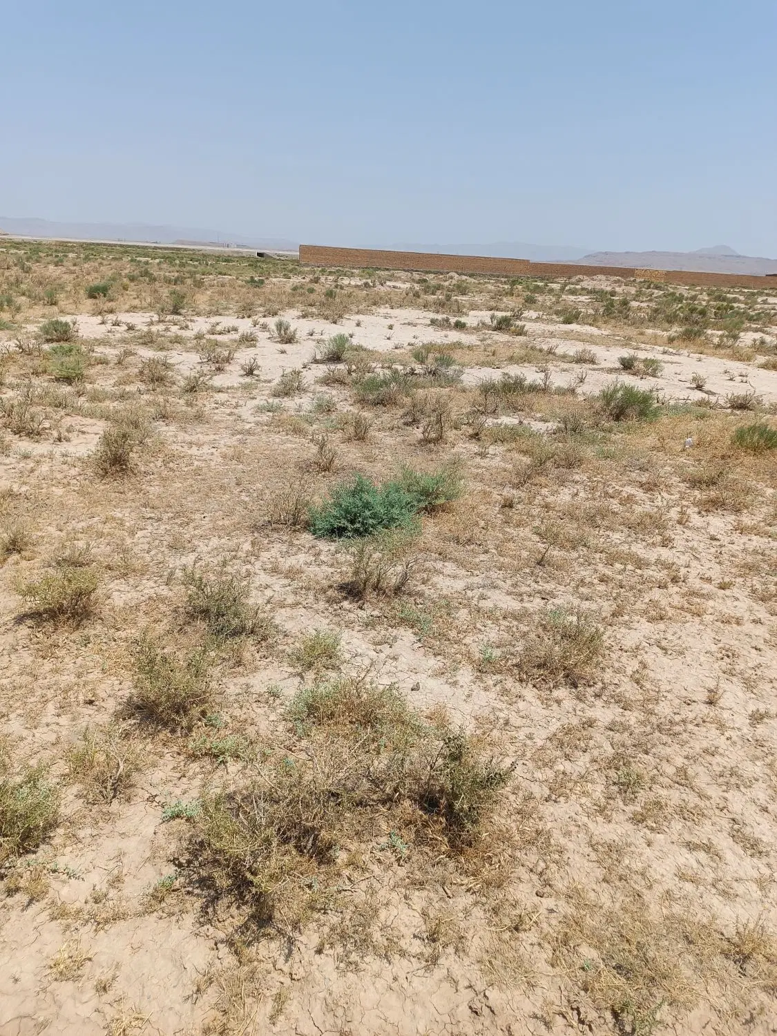 یک قطعه زمین درمایان