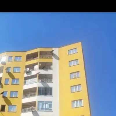 کوی لاله باران