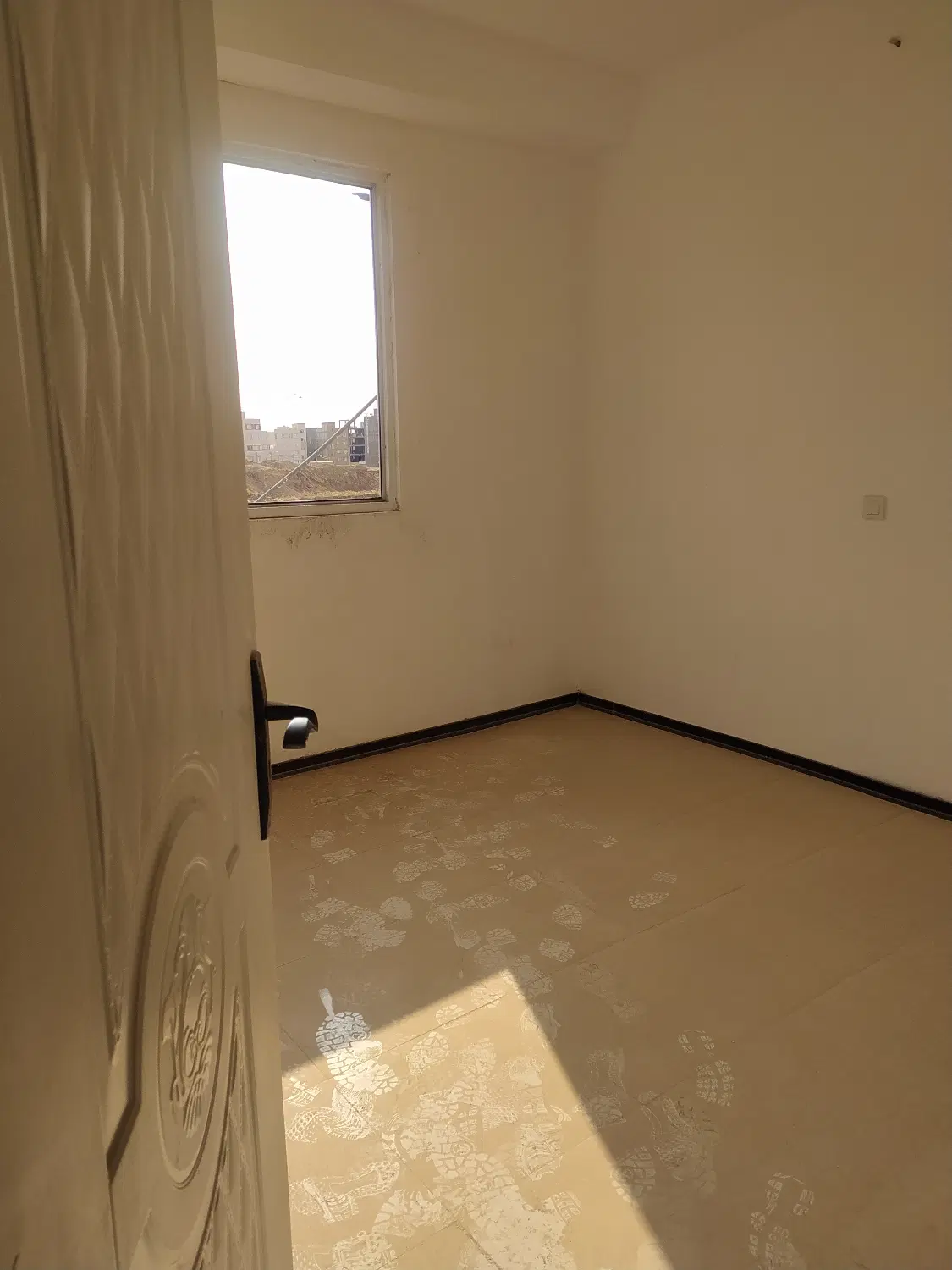 کوی زیتون