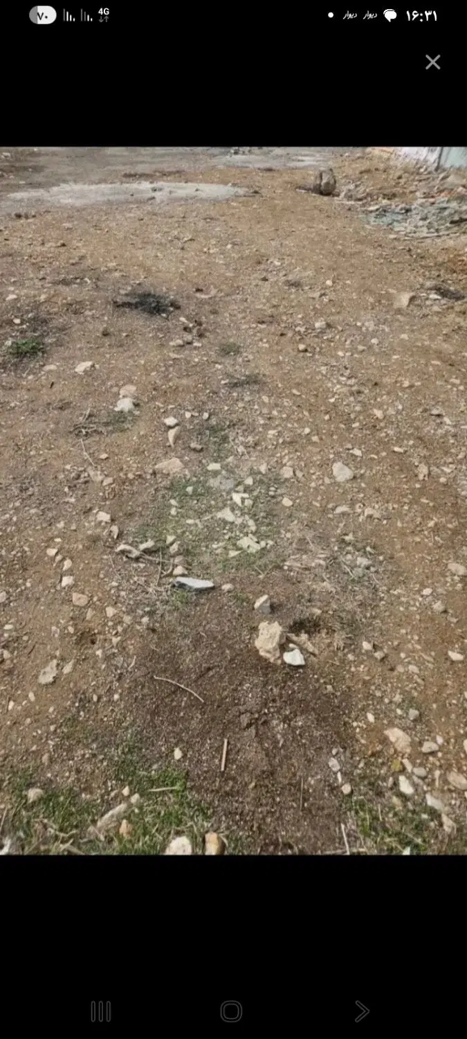 زمین شهرک الزهرا کرند غرب