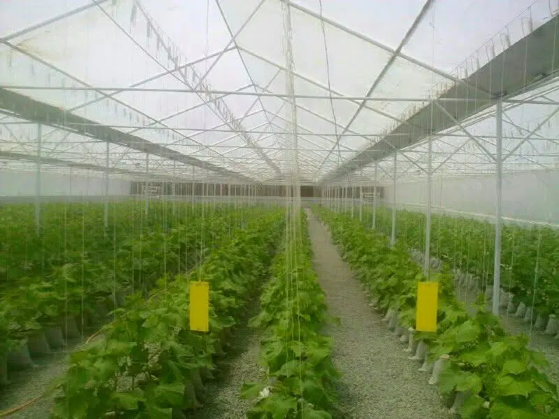 فروش یا اجاره گلخانه