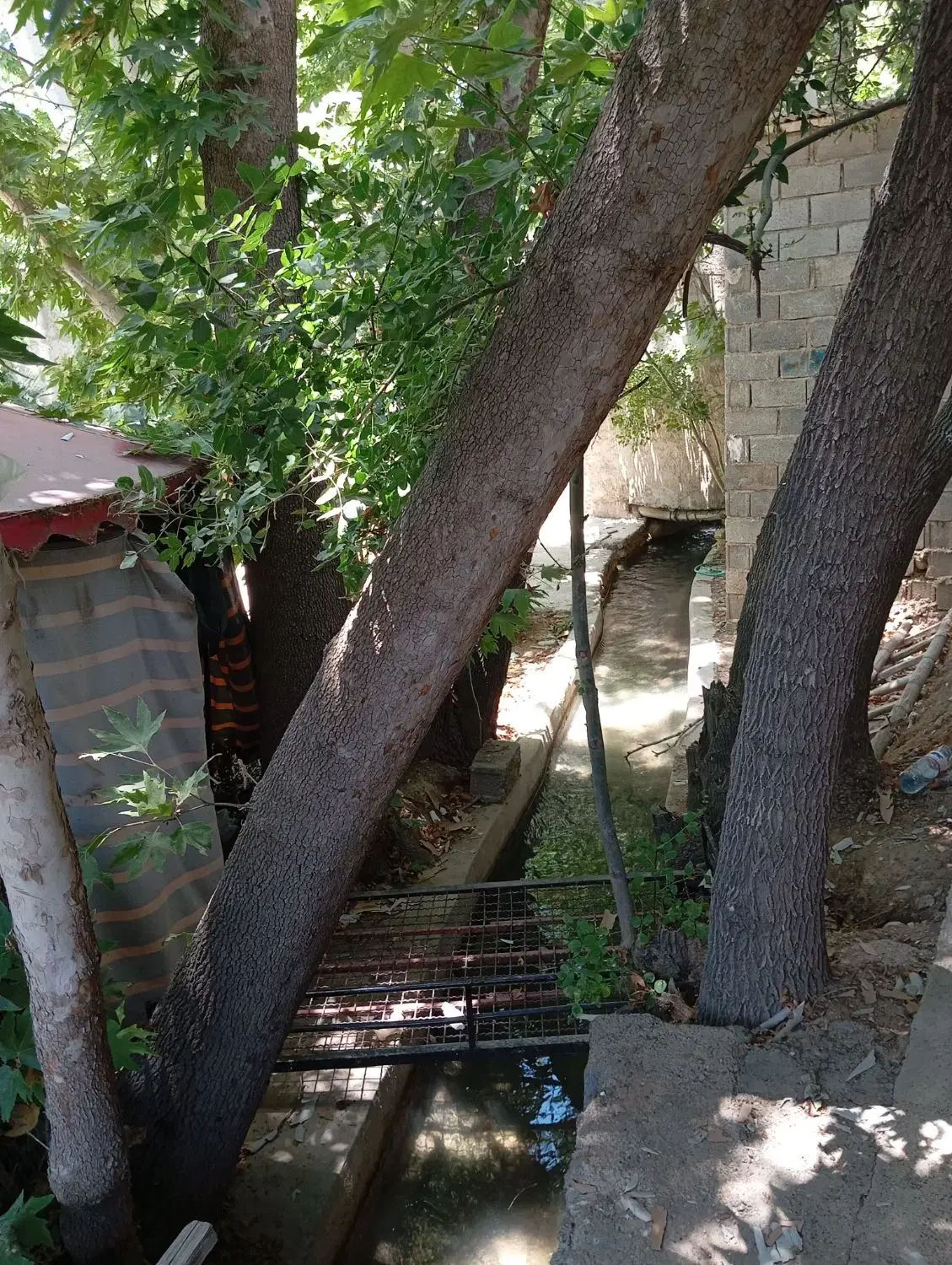 اجاره باغ چمران
