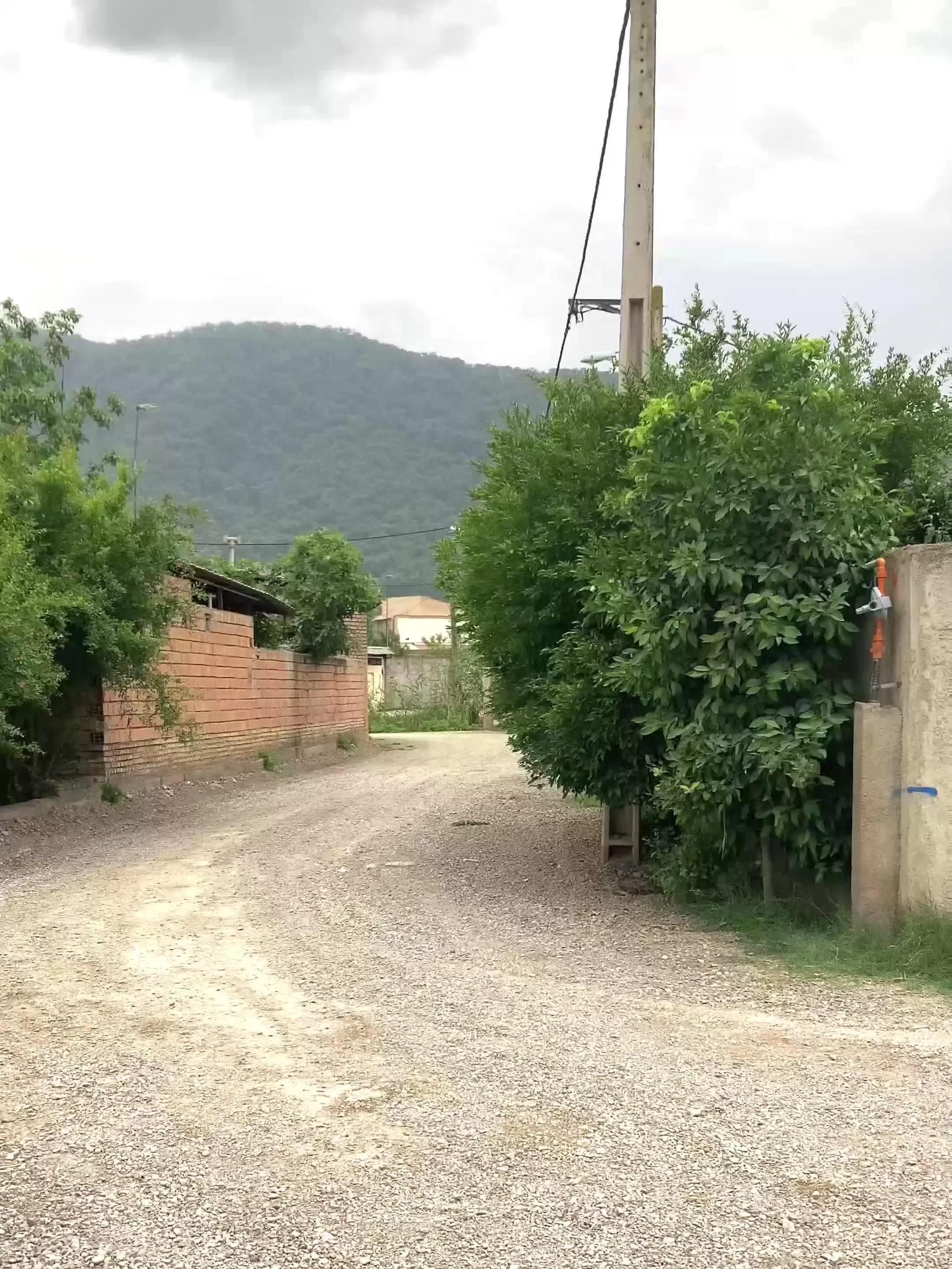 ۵۰۰ متر زمین الحاق به بافت در مازیاران