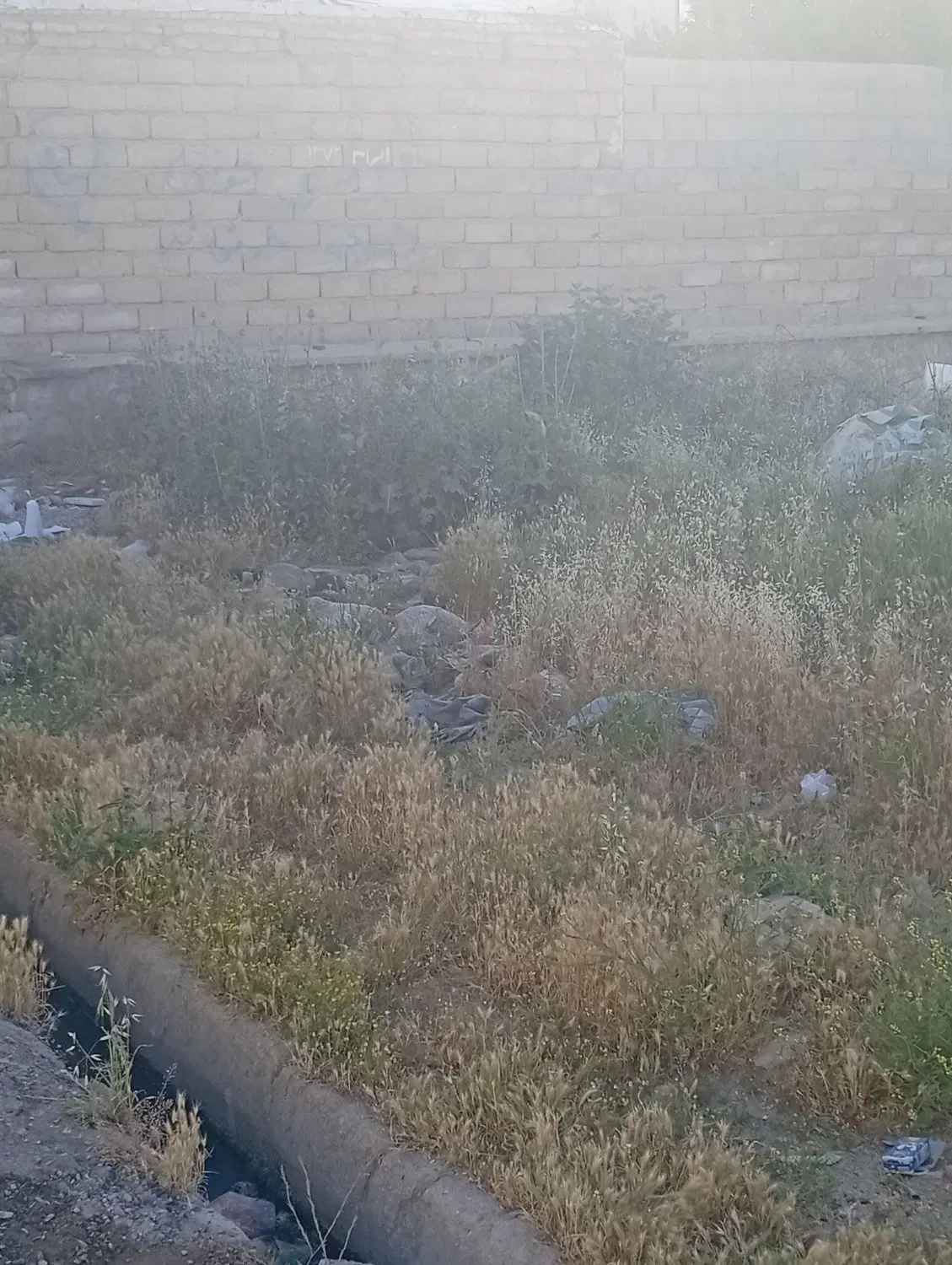 زمین