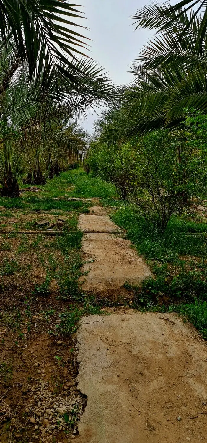 باغ ۱۳۰۰ متری بعد از دروازه قرآن