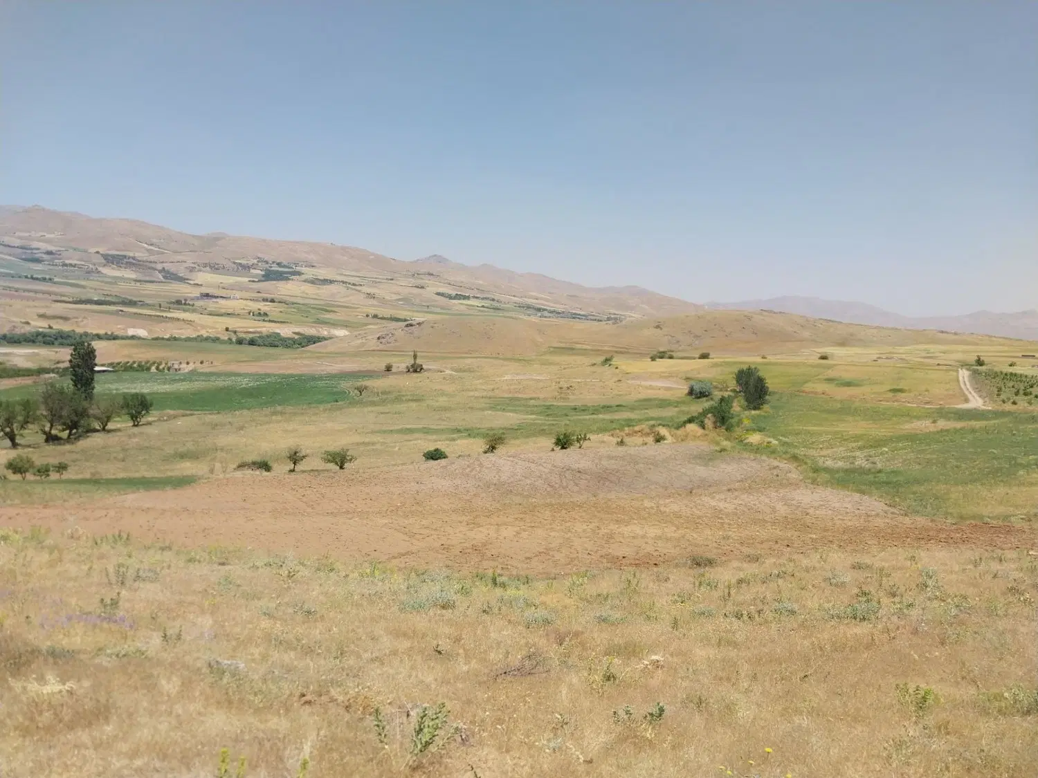 زمین کشاورزی