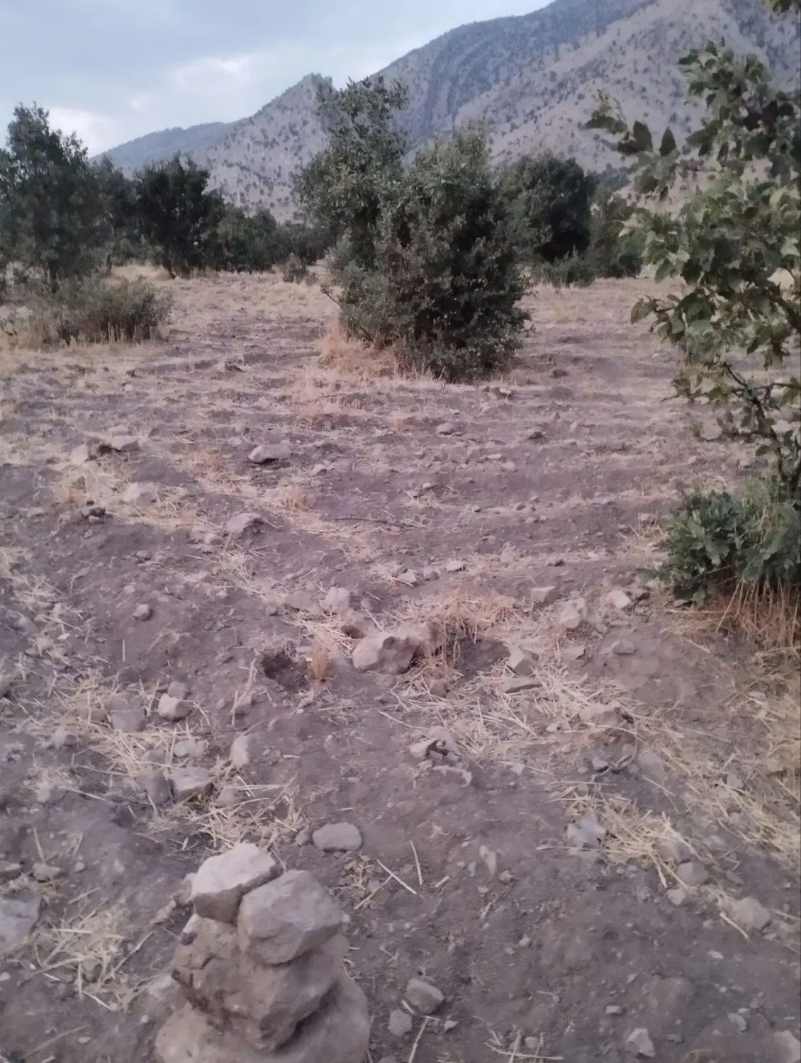 فروش زمین