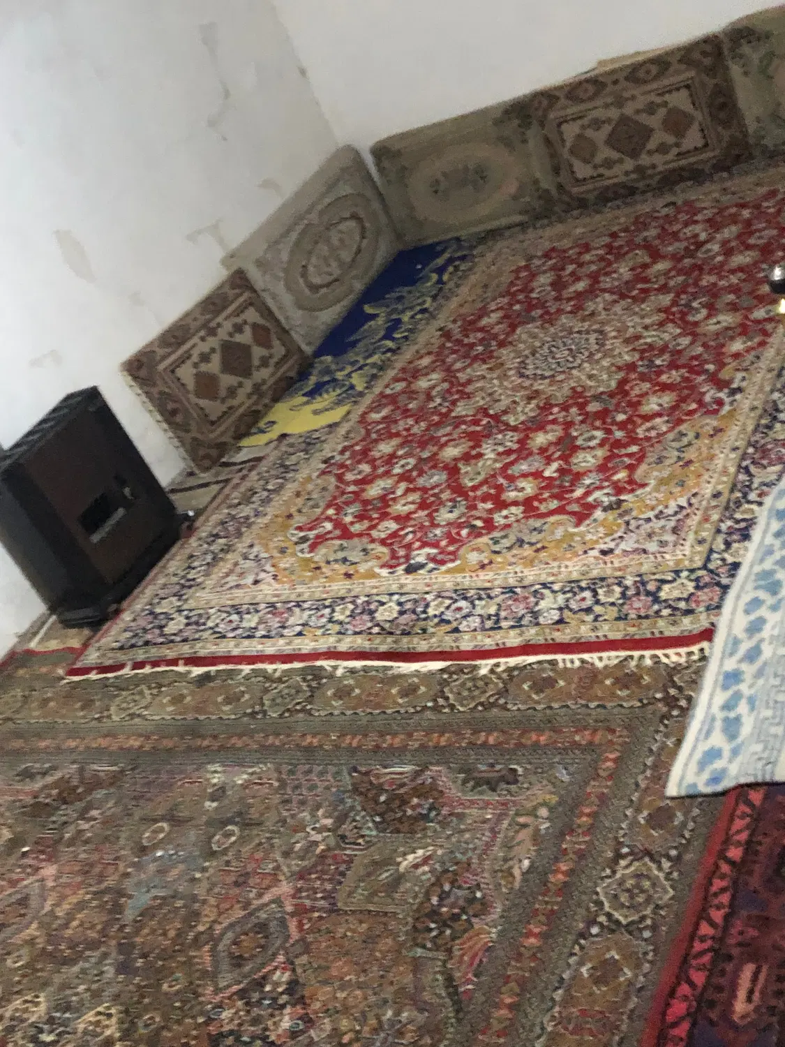 شرکت قارچ و مواد غذایی
