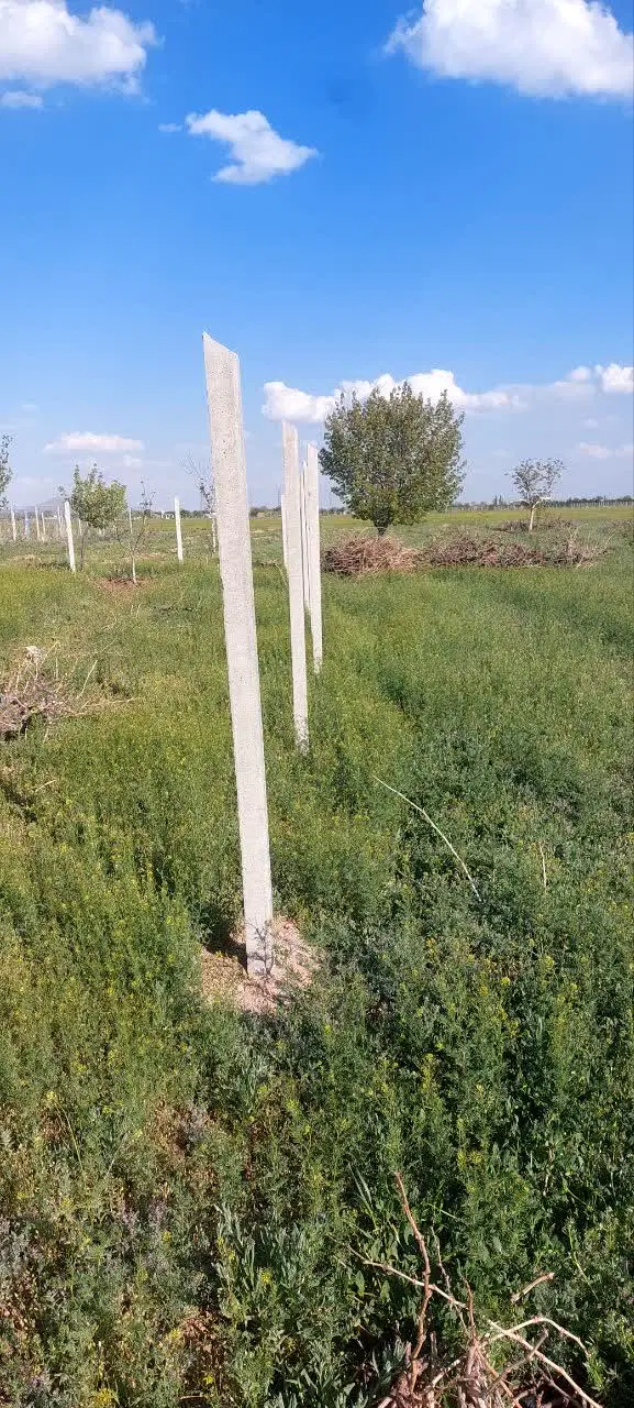 زمین باغی
