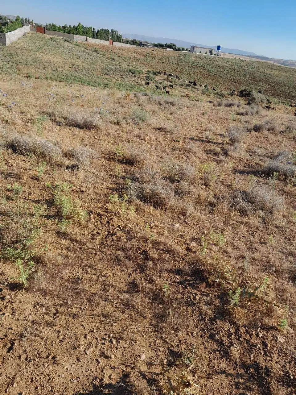 فروش زمین مناسب باغ‌شهری در روستای کودیان