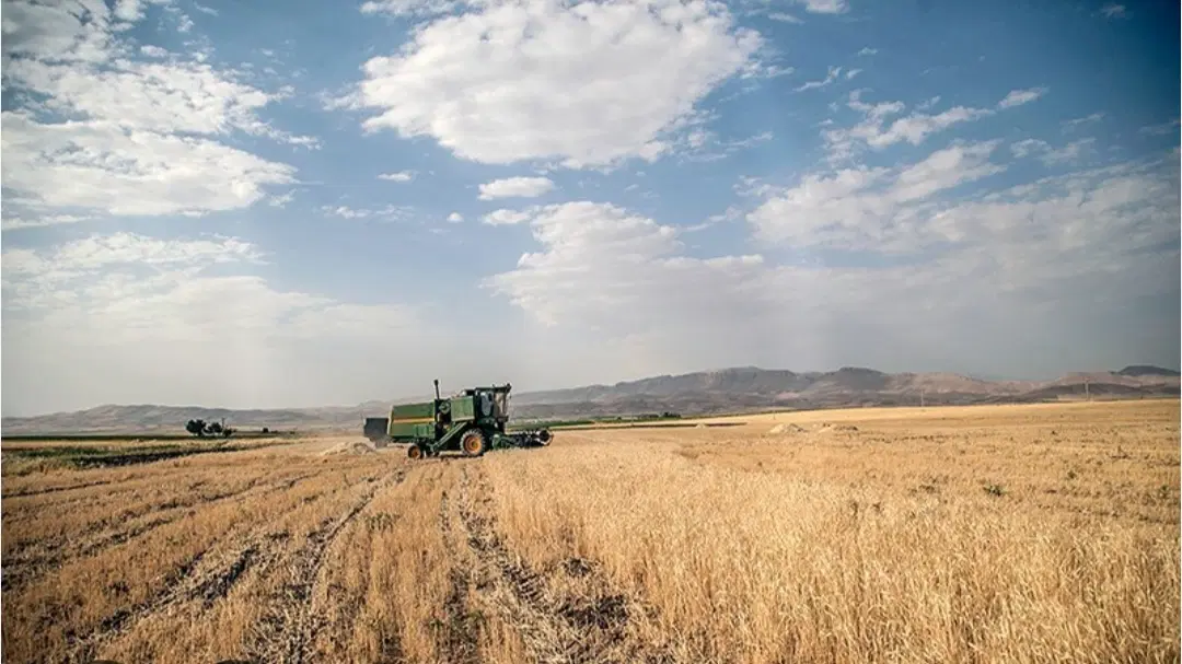 فروش فوری زمین کشاورزی دیم روستای هلیزآباد