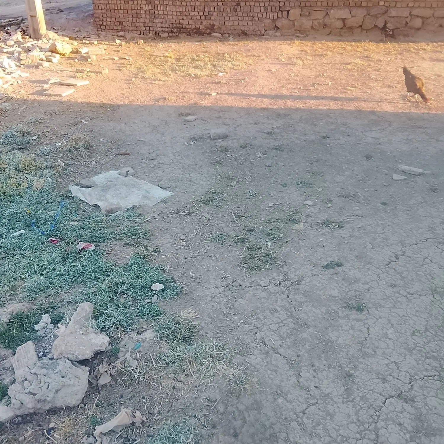 زمین سرابیاس