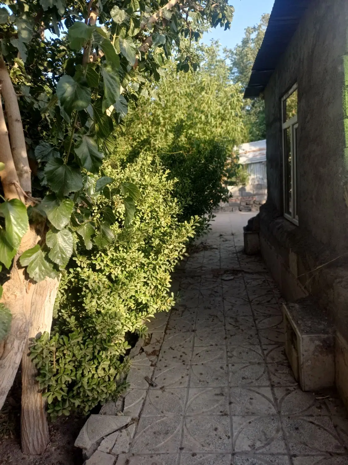 باغ ۷۰۰ متری در پلایین تهران