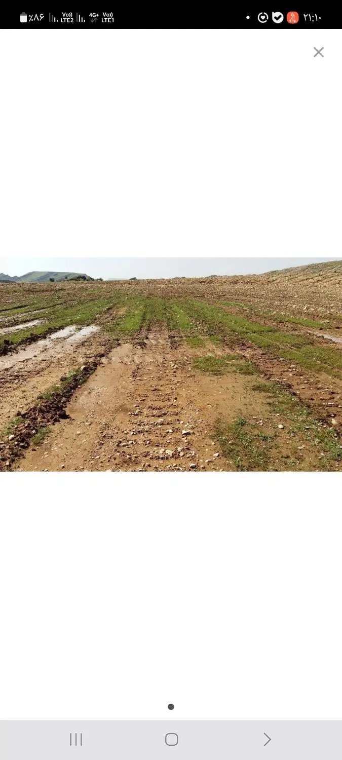 زمین کشاورزی شهرک صنعتی شماره 1