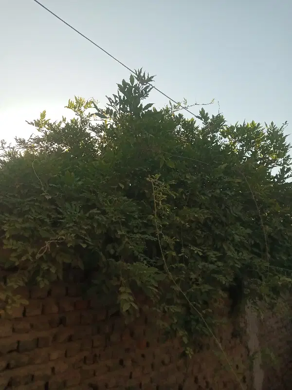 ده ومکان تفریحی