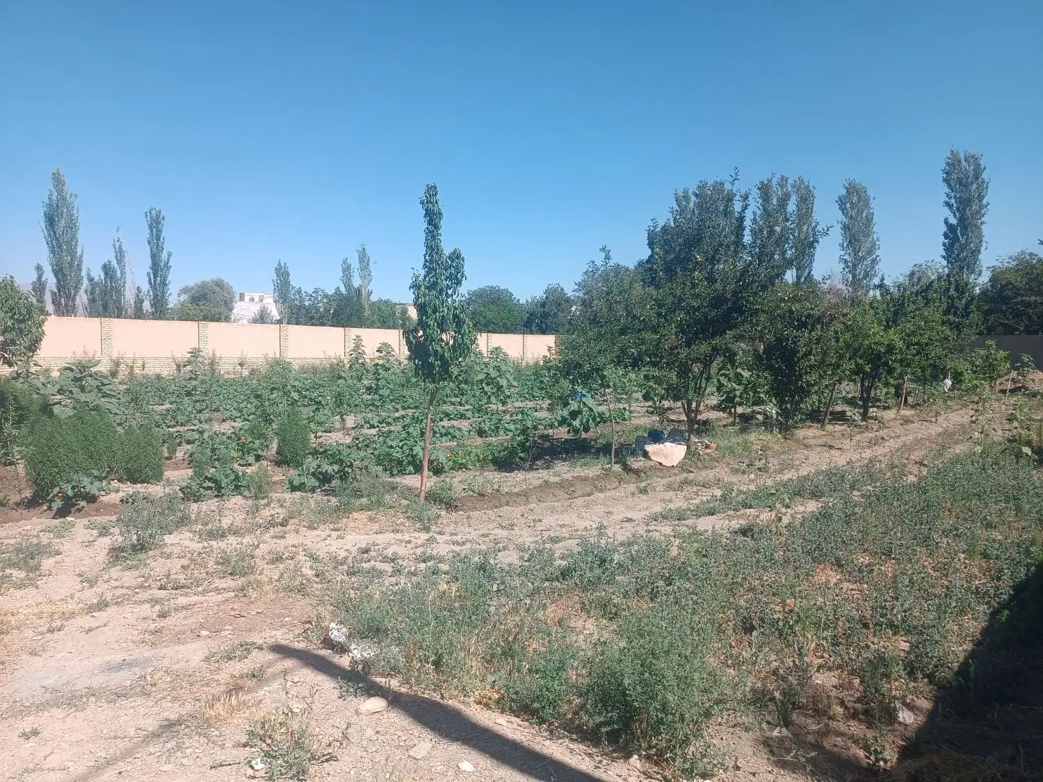باغ در محدوده مسکونی