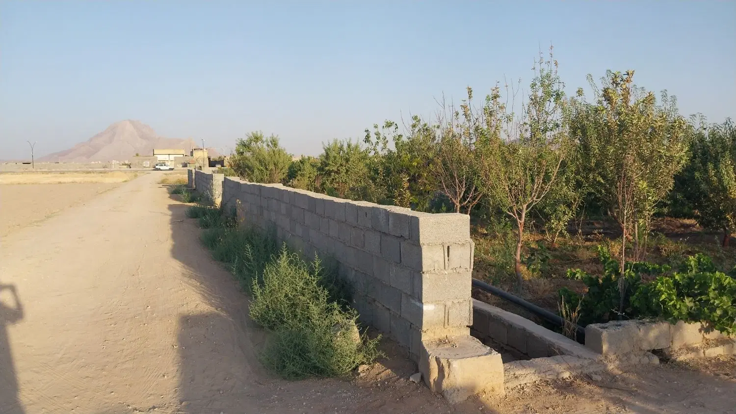 باغ 501 متری