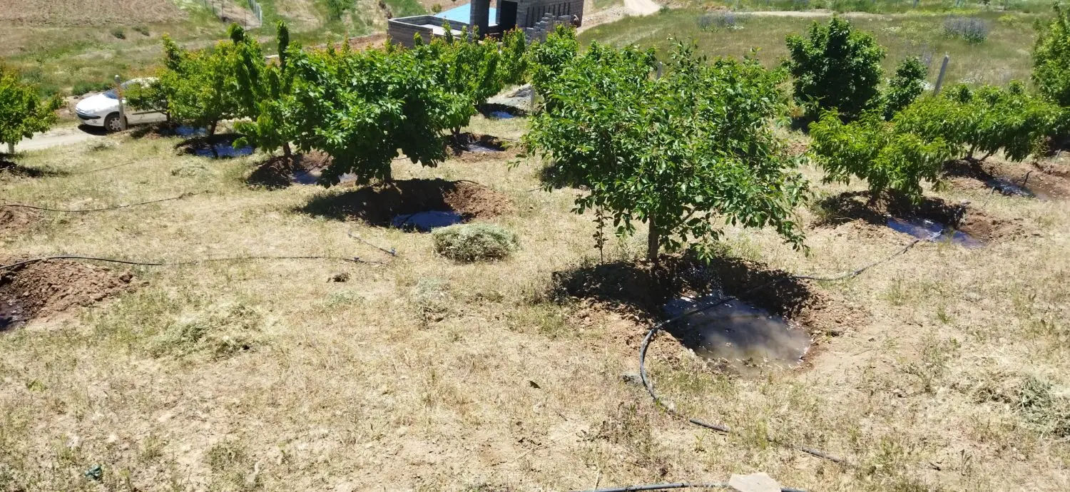 زمین کشاورزی قلیان