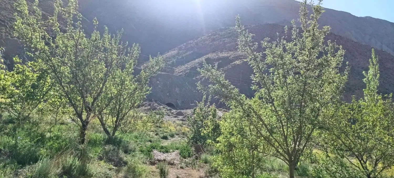 زمین فروشی سیرچ