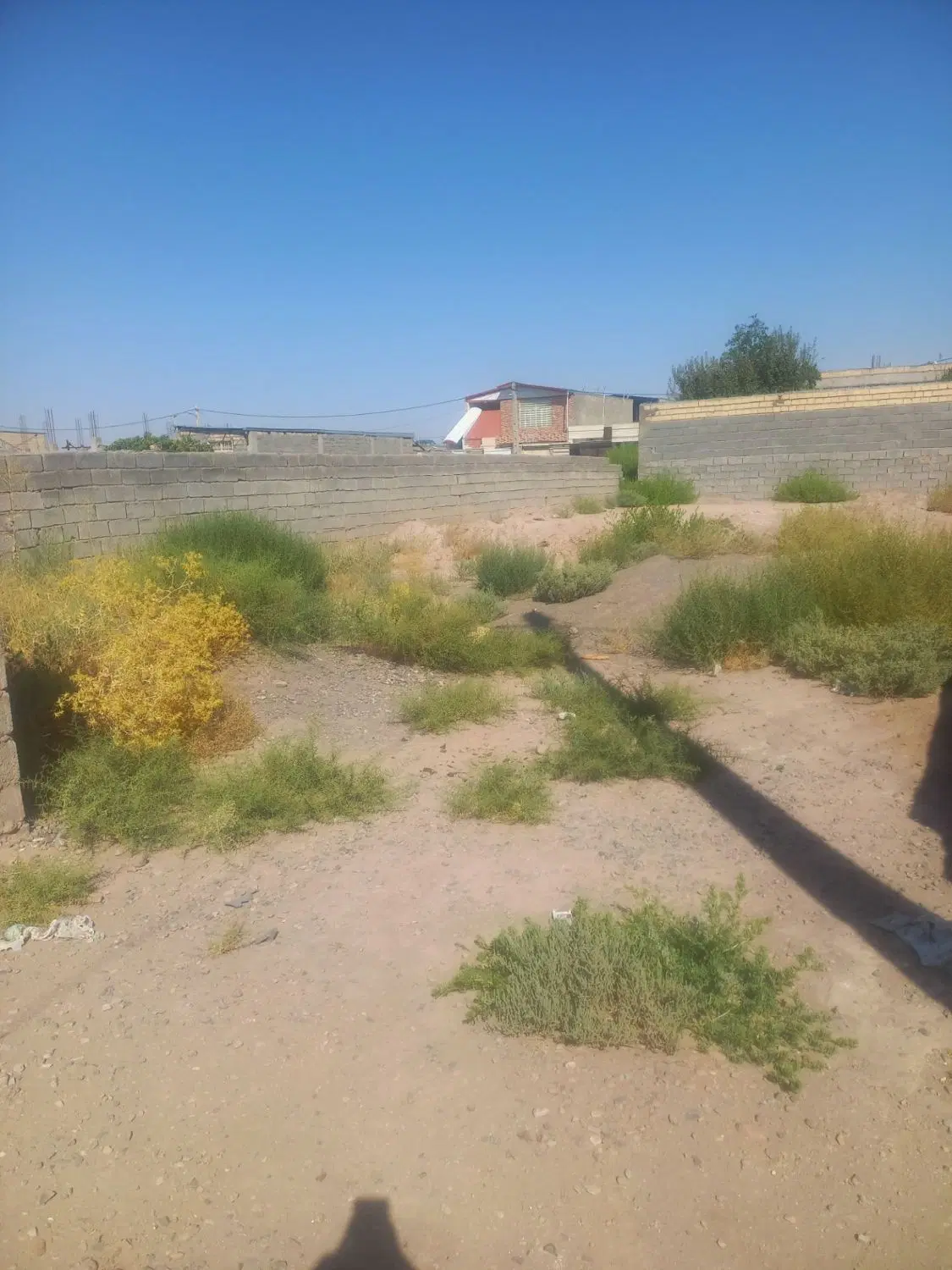 فروش زمین