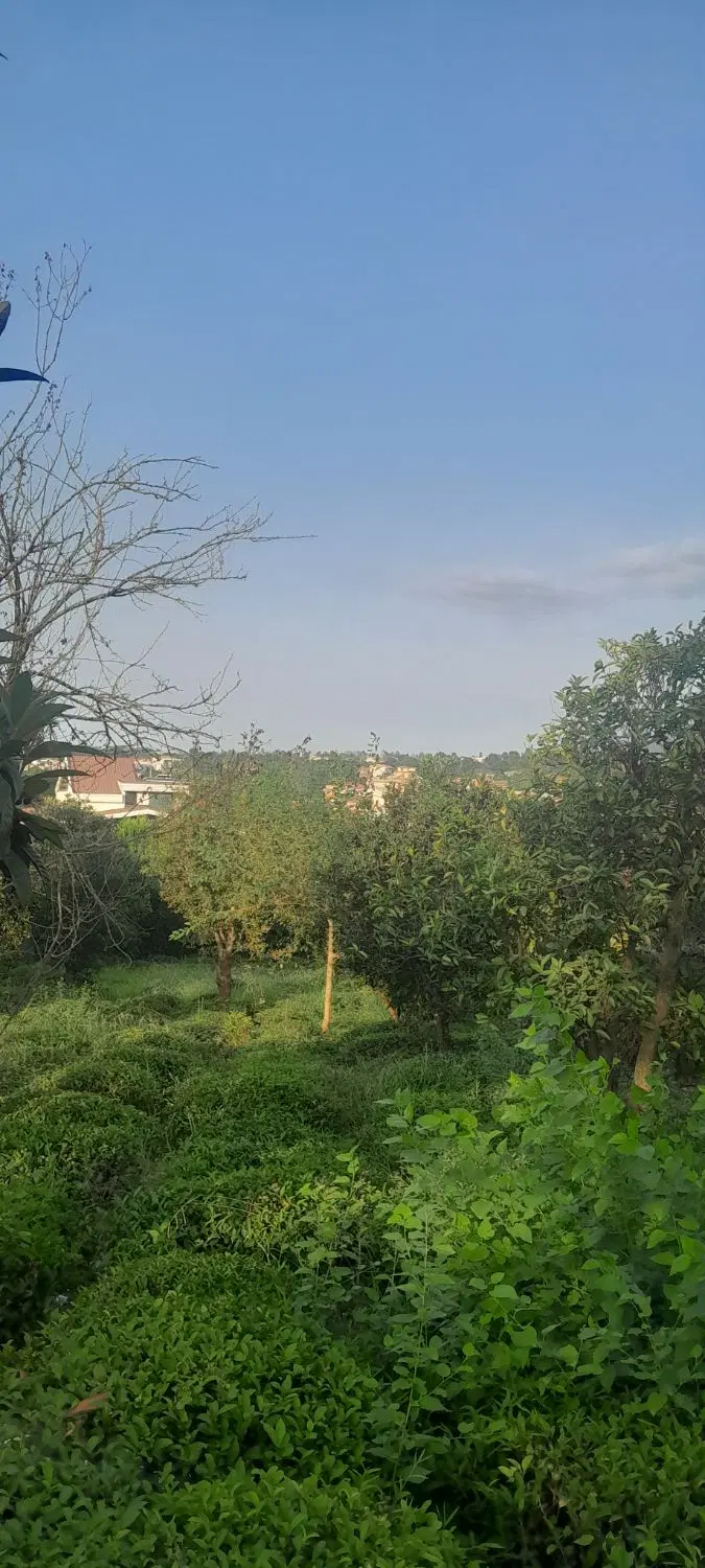 زمین با کاربری مسکونی بازنشین