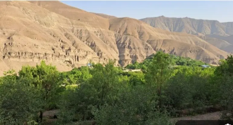 فروش زمین ۵۰۰ متری بریانچال کردان