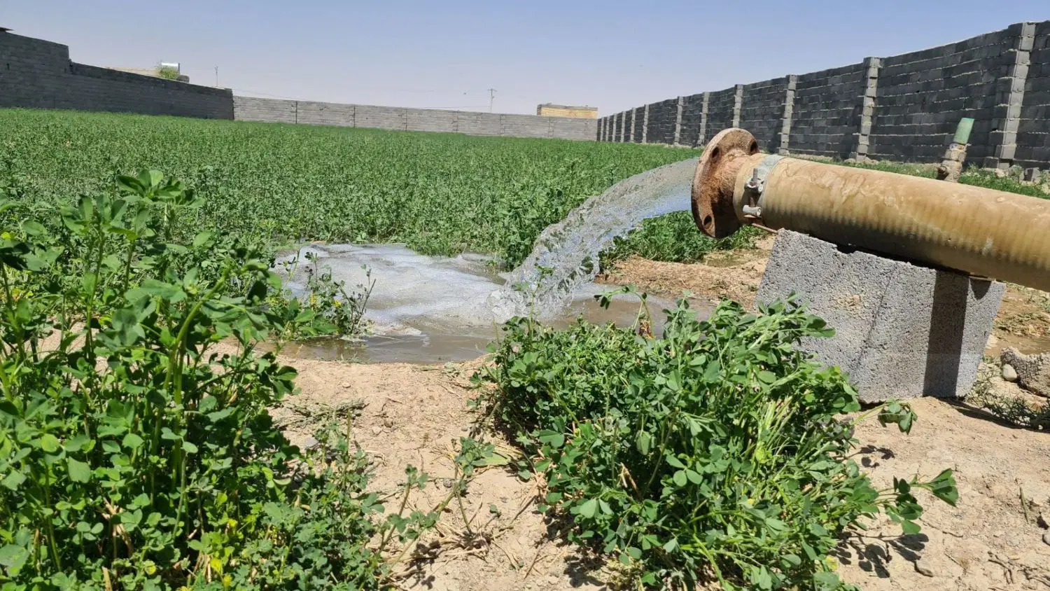 ۱۲۰۰متر چهاردیواری فول امکانات با آب و برق تیمیارت