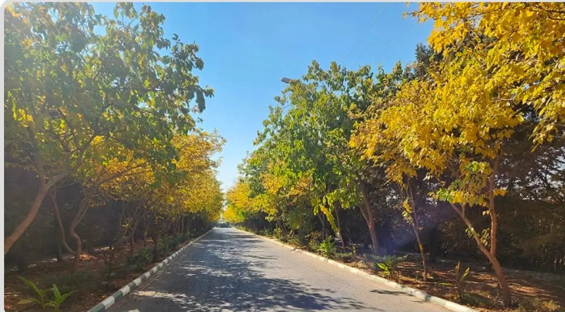 باغ شهر ارین در قلب کردان