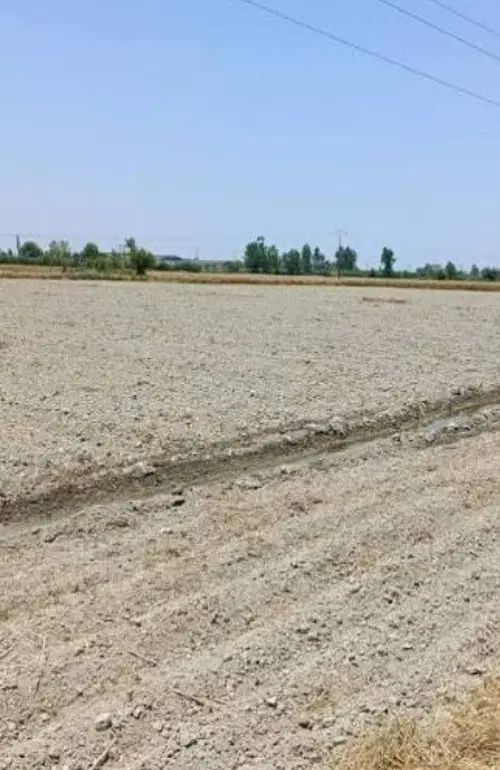 زمین حاصل خیز مناسب باغ