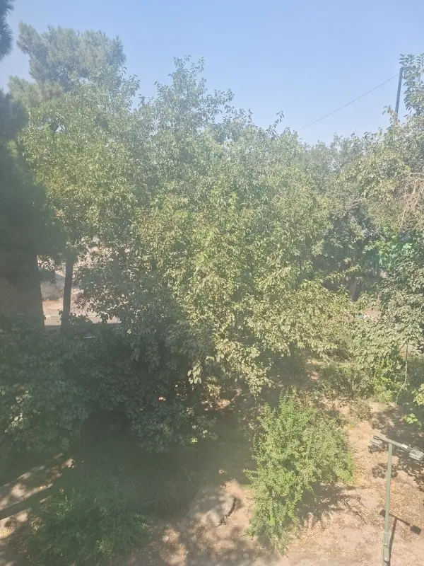 کرایه منزل