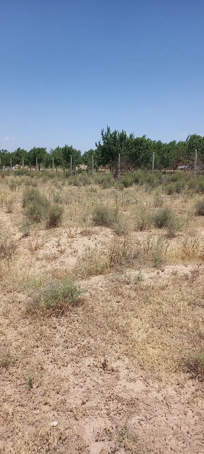 زمین ۱۱۴ متر در حصار خروان