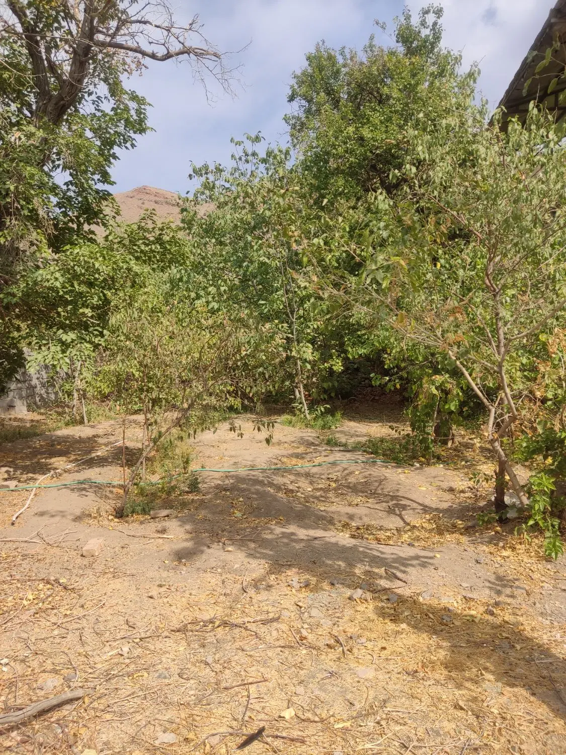 باغ فروشی