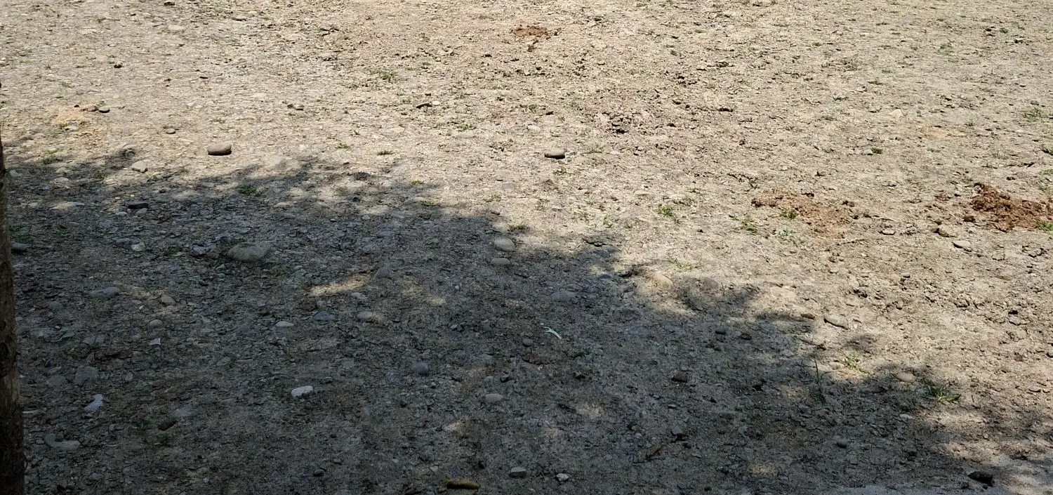 ۵۰۰ متر زمین ۳ قطعه به صورت یکجا