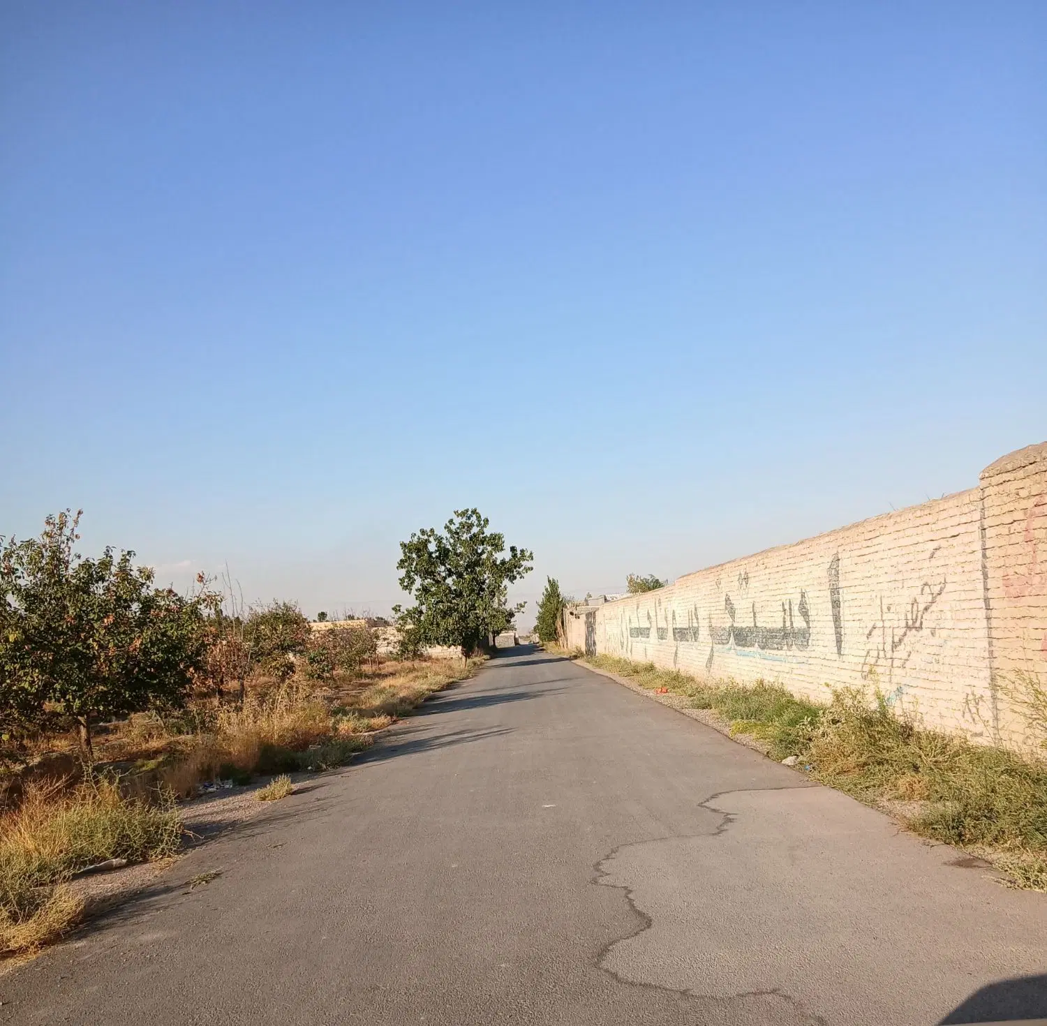 باغ ویلا