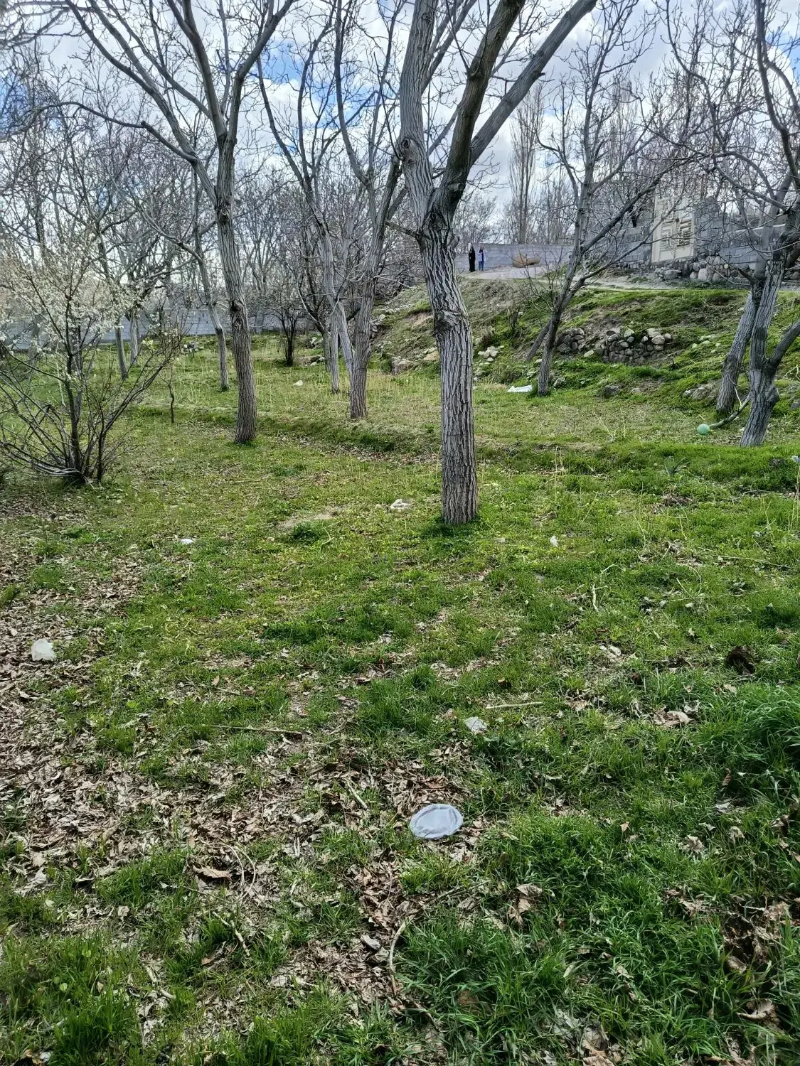 فروش باغ ویلایی به متراژ ۳۵۰متر واقع در اسکو