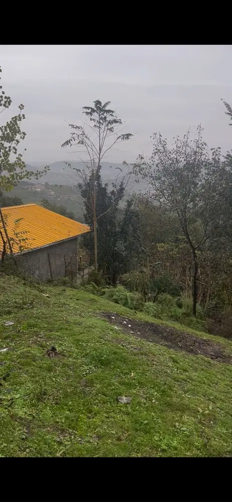 زمین مسکونی