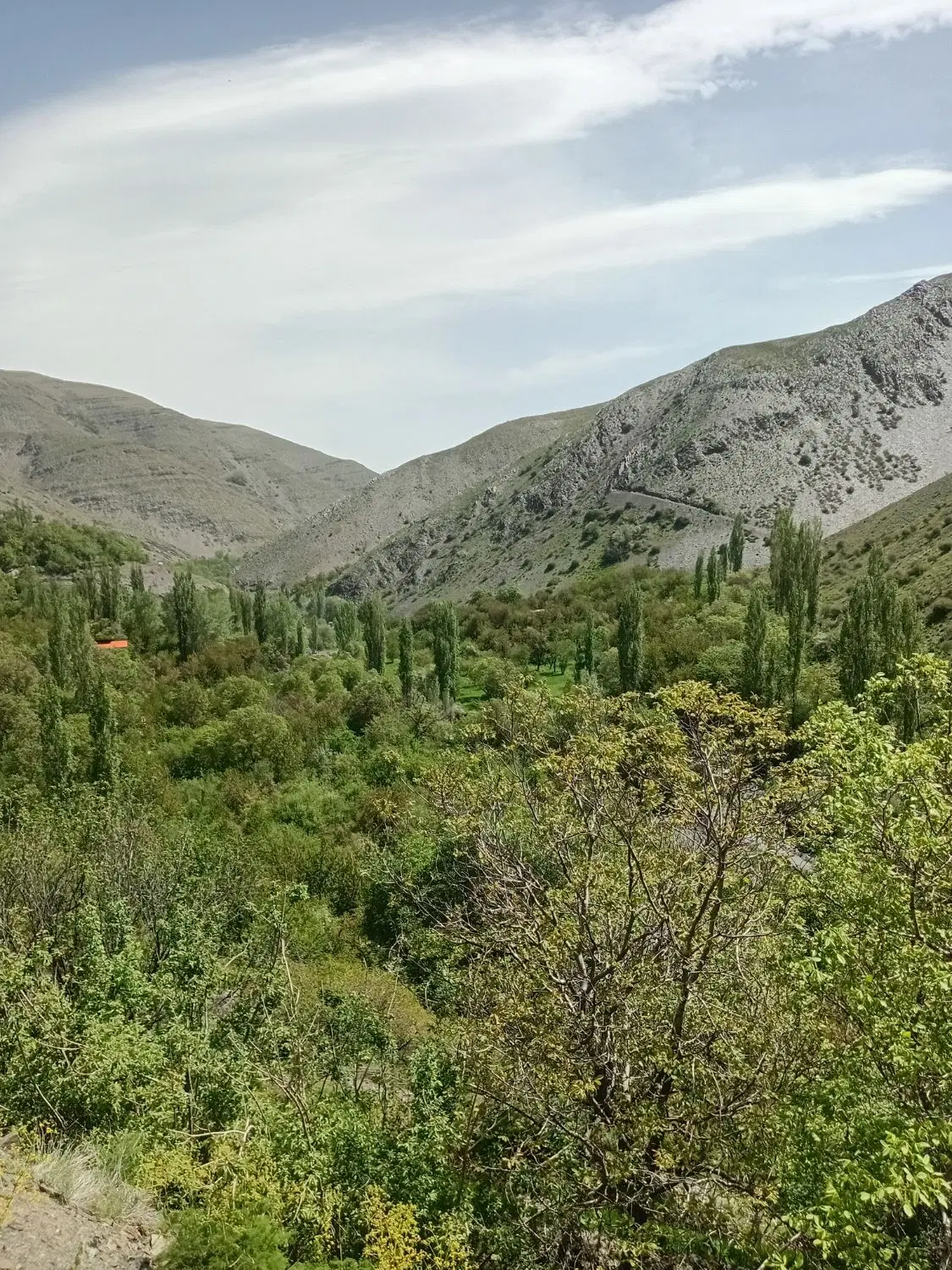 باغ ویلا طرقبه جاغرق روستای کردینه ،دهبار