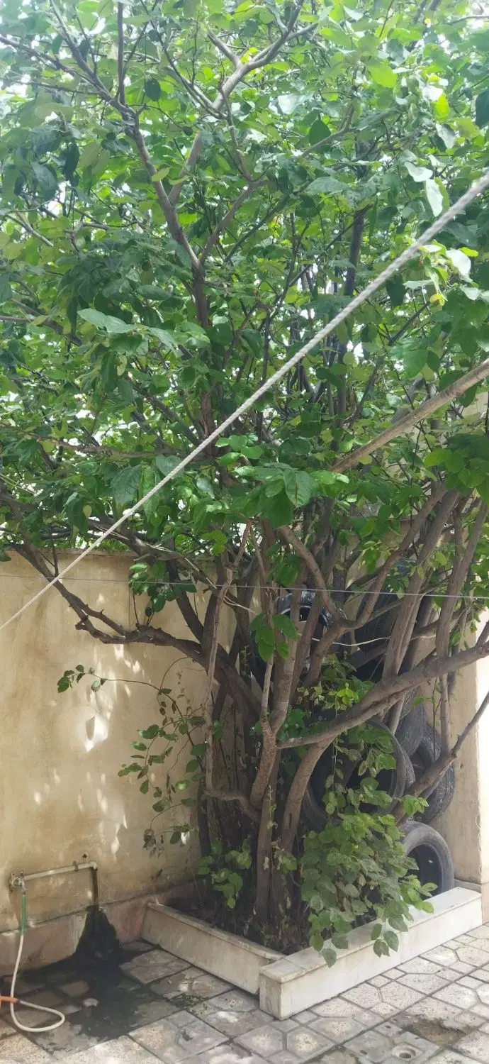 خانه ۲طبقه