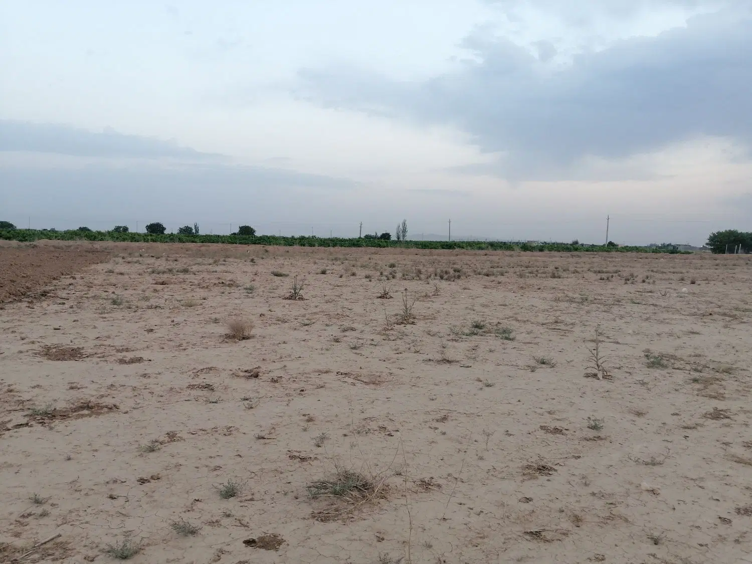زمین کشاورزی صنعتی