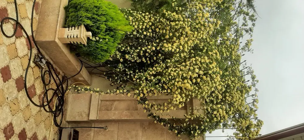خانه ویلای سقرچین