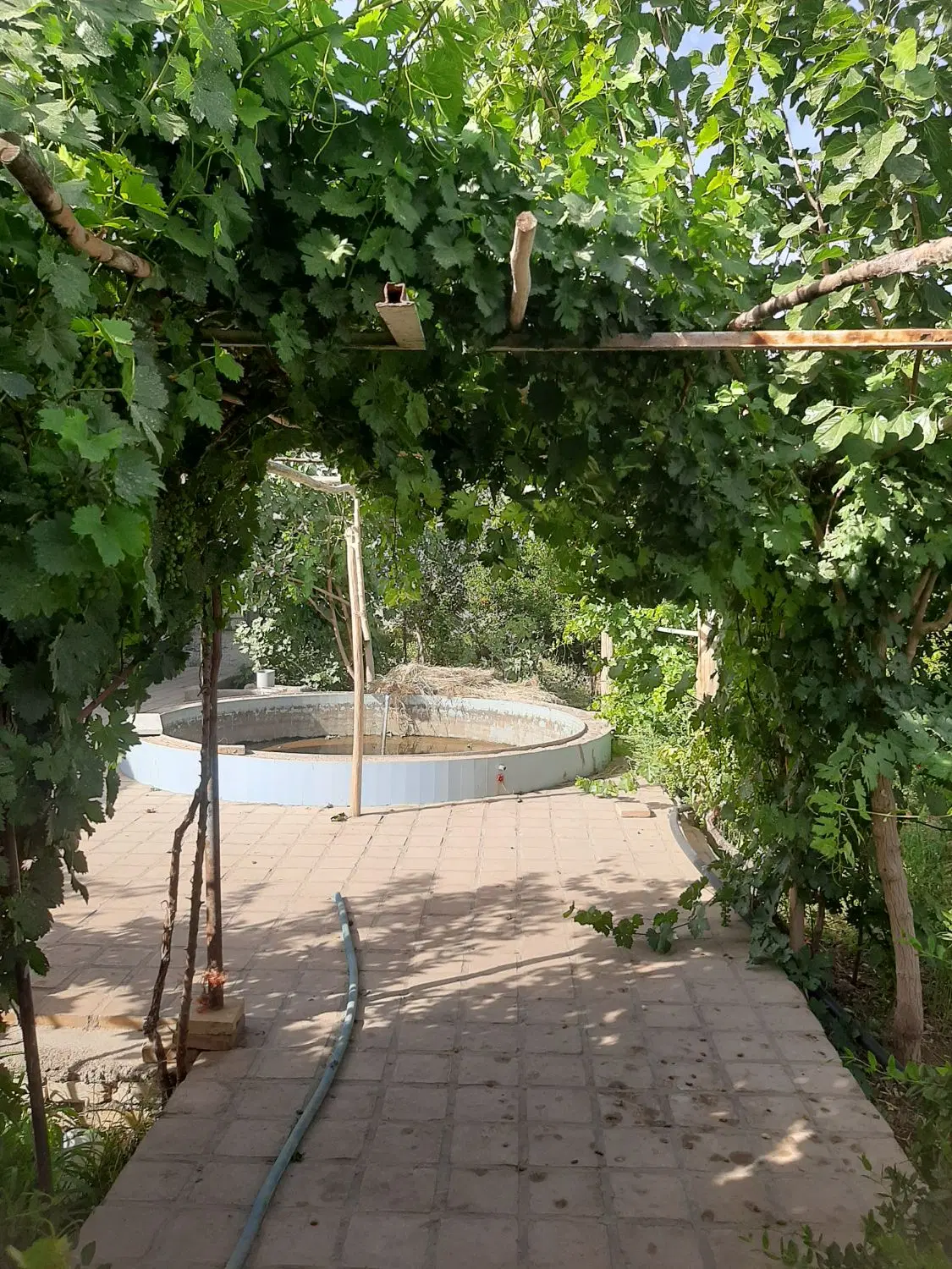 خانه باغ