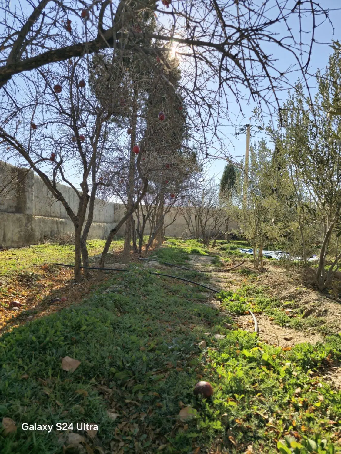 باغ شهری،فروش،معاوضه